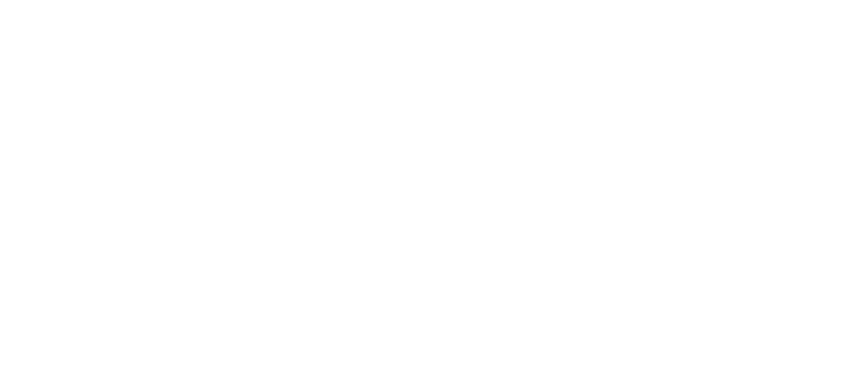Daishinsha Delight 大伸社ディライト